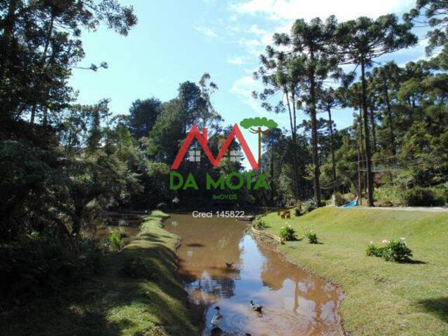 #106 - Terreno para Venda em Campos do Jordão - SP - 1