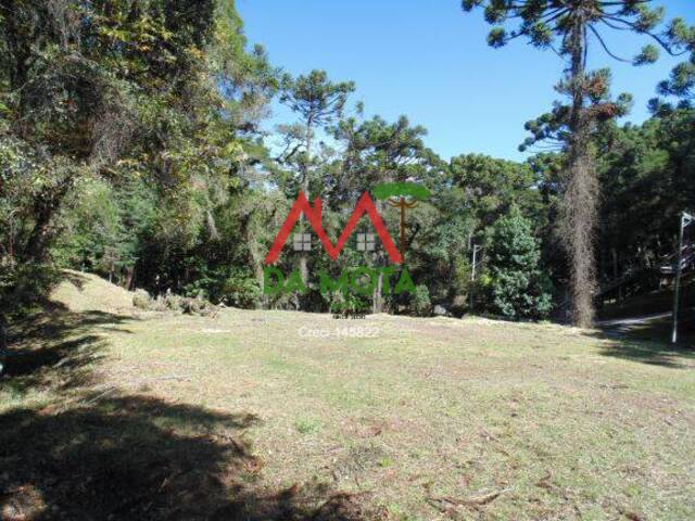 #107 - Terreno para Venda em Campos do Jordão - SP - 2