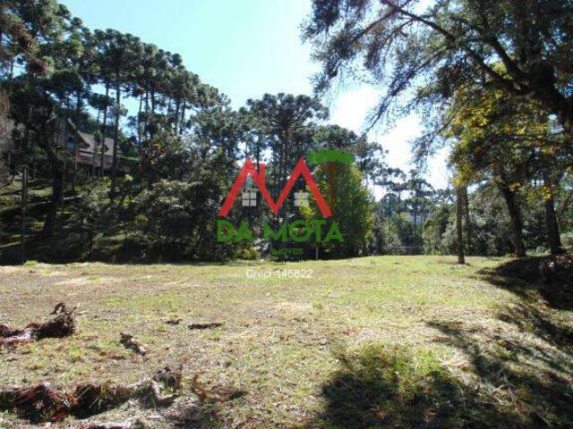 #107 - Terreno para Venda em Campos do Jordão - SP - 3