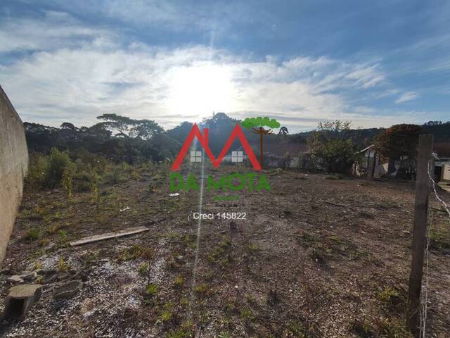 #124 - Terreno para Venda em Campos do Jordão - SP - 1