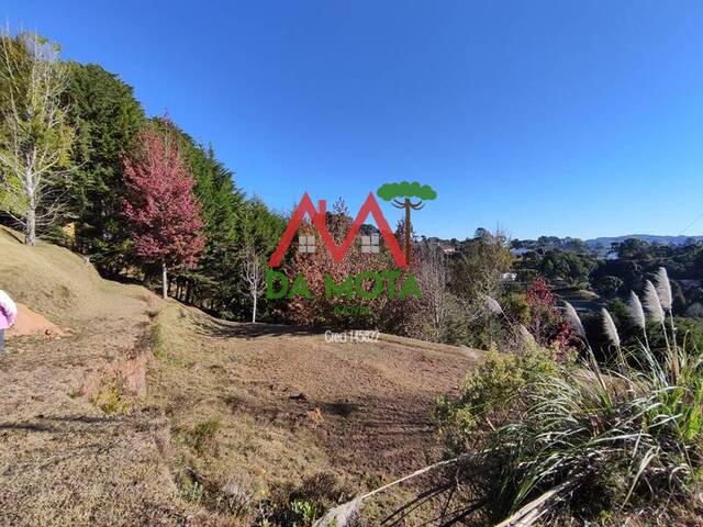 #263 - Terreno em condomínio para Venda em Campos do Jordão - SP - 3