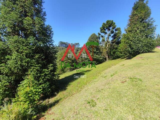 #268 - Terreno em condomínio para Venda em Campos do Jordão - SP - 1