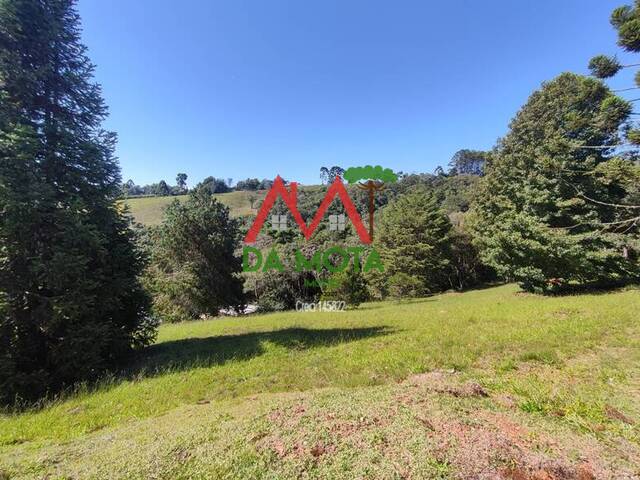 #268 - Terreno em condomínio para Venda em Campos do Jordão - SP - 3