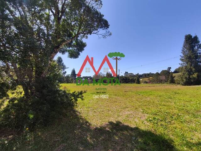 #269 - Terreno em condomínio para Venda em Campos do Jordão - SP - 2