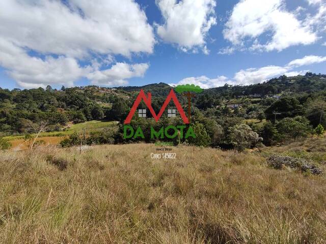 #271 - Terreno para Venda em Campos do Jordão - SP - 2