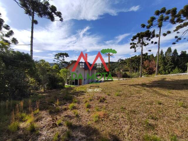 #278 - Terreno em condomínio para Venda em Campos do Jordão - SP - 3