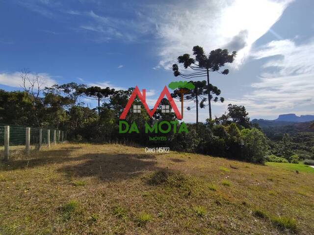 #278 - Terreno em condomínio para Venda em Campos do Jordão - SP - 1