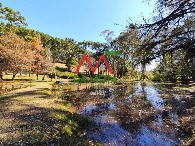 #292 - Terreno para Venda em Campos do Jordão - SP - 3