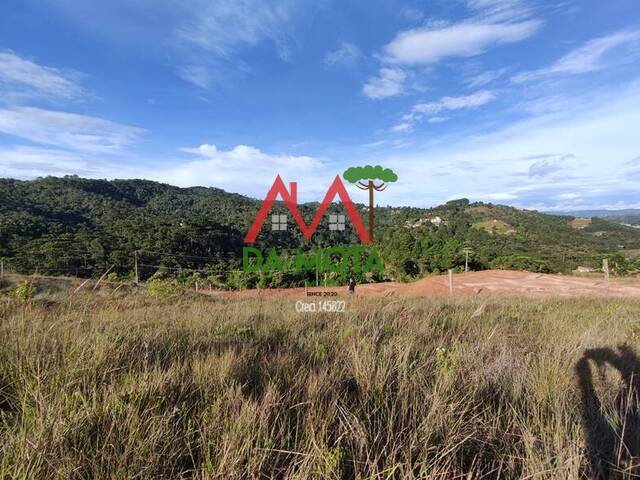 #342 - Área para Venda em Campos do Jordão - SP - 2