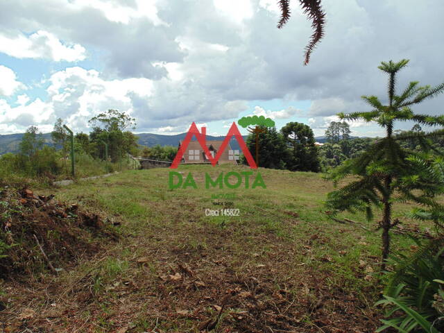 #349 - Terreno para Venda em Campos do Jordão - SP - 1