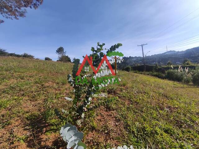 #398 - Terreno para Venda em Campos do Jordão - SP - 3