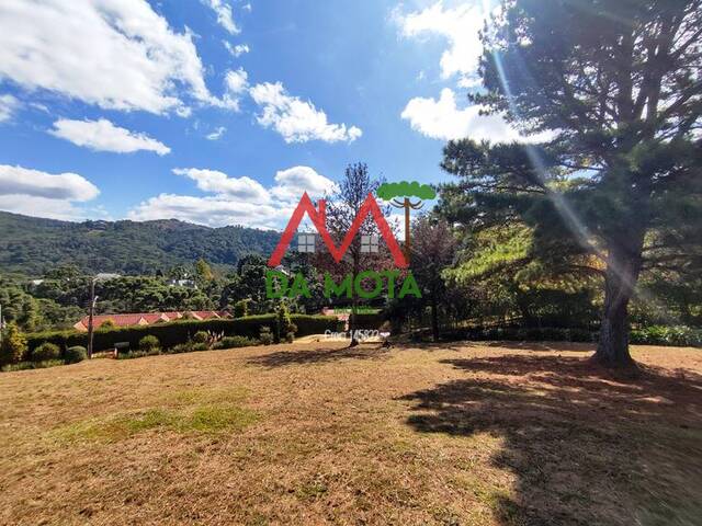 #398 - Terreno para Venda em Campos do Jordão - SP - 2