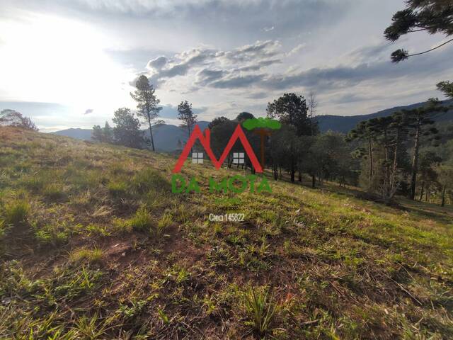 #421 - Terreno para Venda em Campos do Jordão - SP - 2