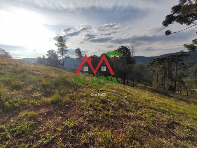 #421 - Terreno para Venda em Campos do Jordão - SP - 3