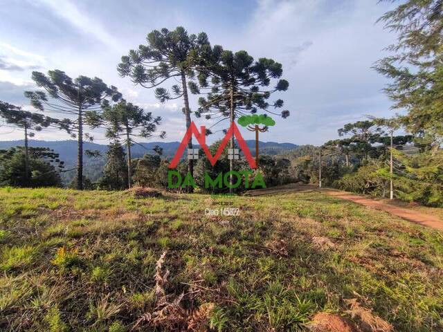 #422 - Terreno para Venda em Campos do Jordão - SP - 2