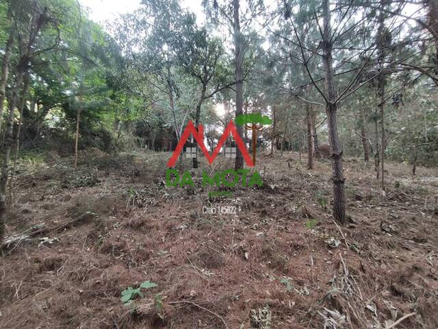 #430 - Terreno para Venda em Campos do Jordão - SP - 2