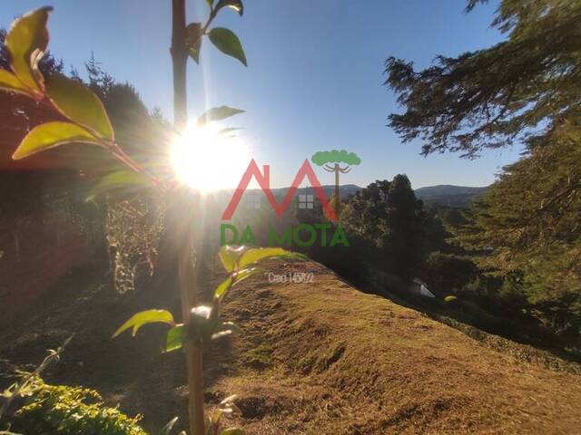 Venda em Manancial - Campos do Jordão