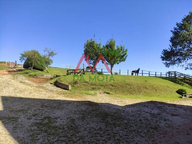 #414 - Área para Venda em Campos do Jordão - SP - 2