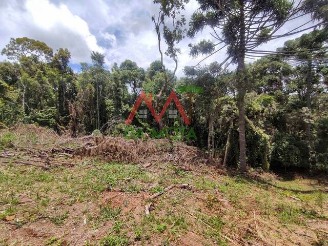 #469 - Terreno para Venda em Campos do Jordão - SP - 3