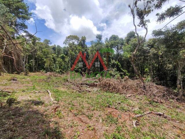 #469 - Terreno para Venda em Campos do Jordão - SP - 2