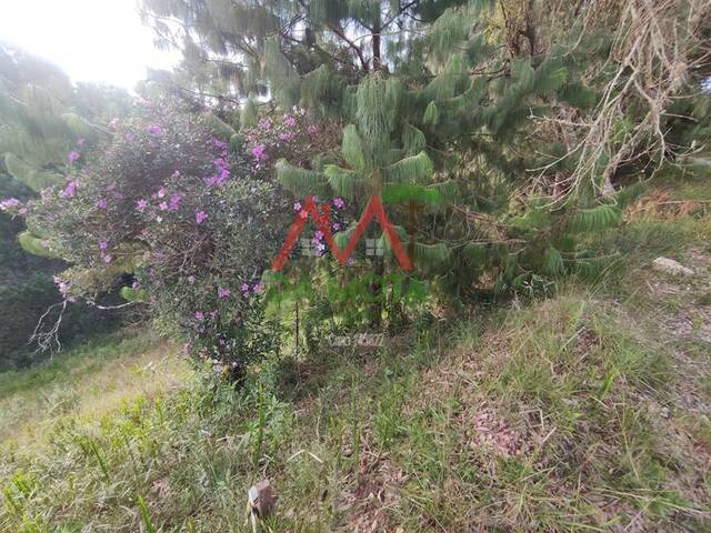 #495 - Terreno para Venda em Campos do Jordão - SP - 3