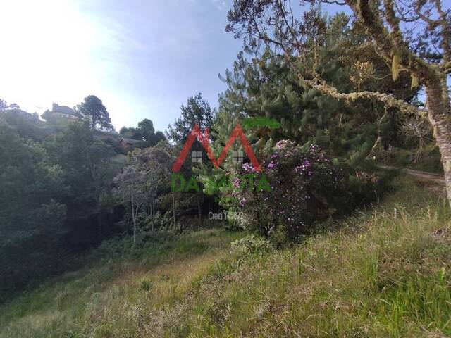 #495 - Terreno para Venda em Campos do Jordão - SP - 2