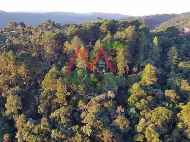 #498 - Terreno em condomínio para Venda em Campos do Jordão - SP - 2