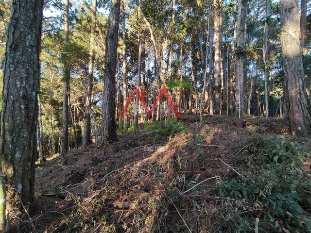 #498 - Terreno em condomínio para Venda em Campos do Jordão - SP - 3