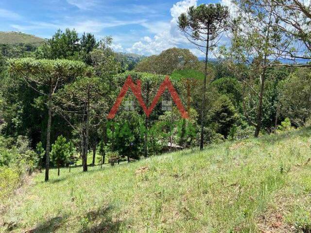 #499 - Terreno para Venda em Campos do Jordão - SP - 3