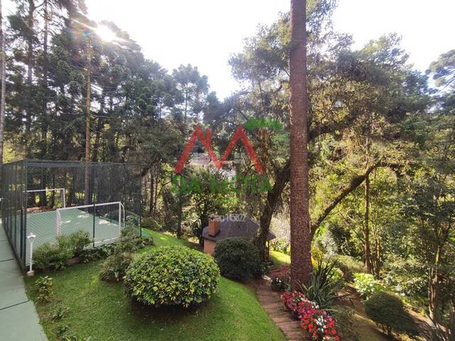 #500 - Casa para Locação em Campos do Jordão - SP - 1