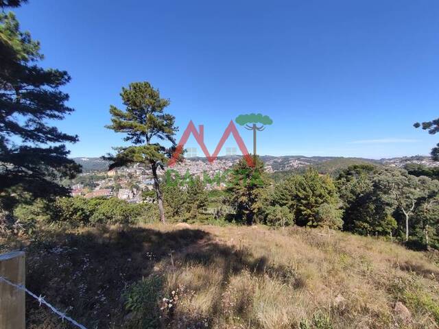 #508 - Terreno para Venda em Campos do Jordão - SP - 2