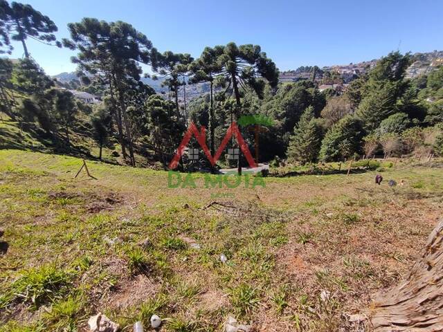 #510 - Terreno para Venda em Campos do Jordão - SP - 2