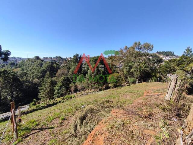 #510 - Terreno para Venda em Campos do Jordão - SP - 3