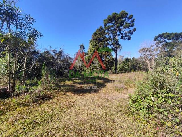 #511 - Área para Venda em Campos do Jordão - SP - 3