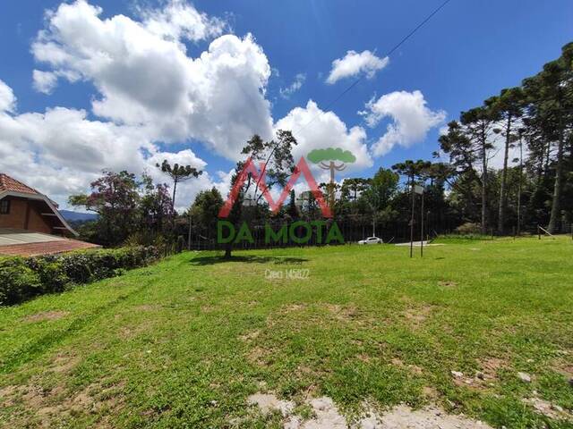 #512 - Terreno para Venda em Campos do Jordão - SP - 3