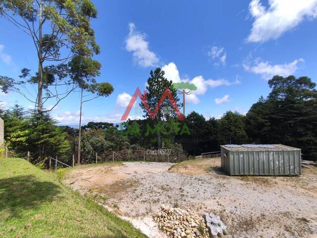 #513 - Terreno para Venda em Campos do Jordão - SP - 3