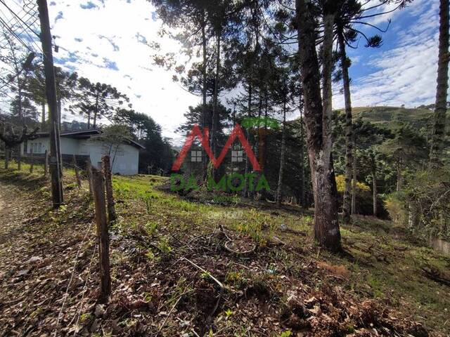 #514 - Casa para Venda em Campos do Jordão - SP - 2